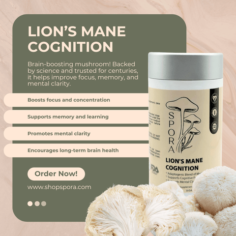 Lion’s Mane Cognition – 100% Organic