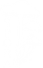 Shop Spora