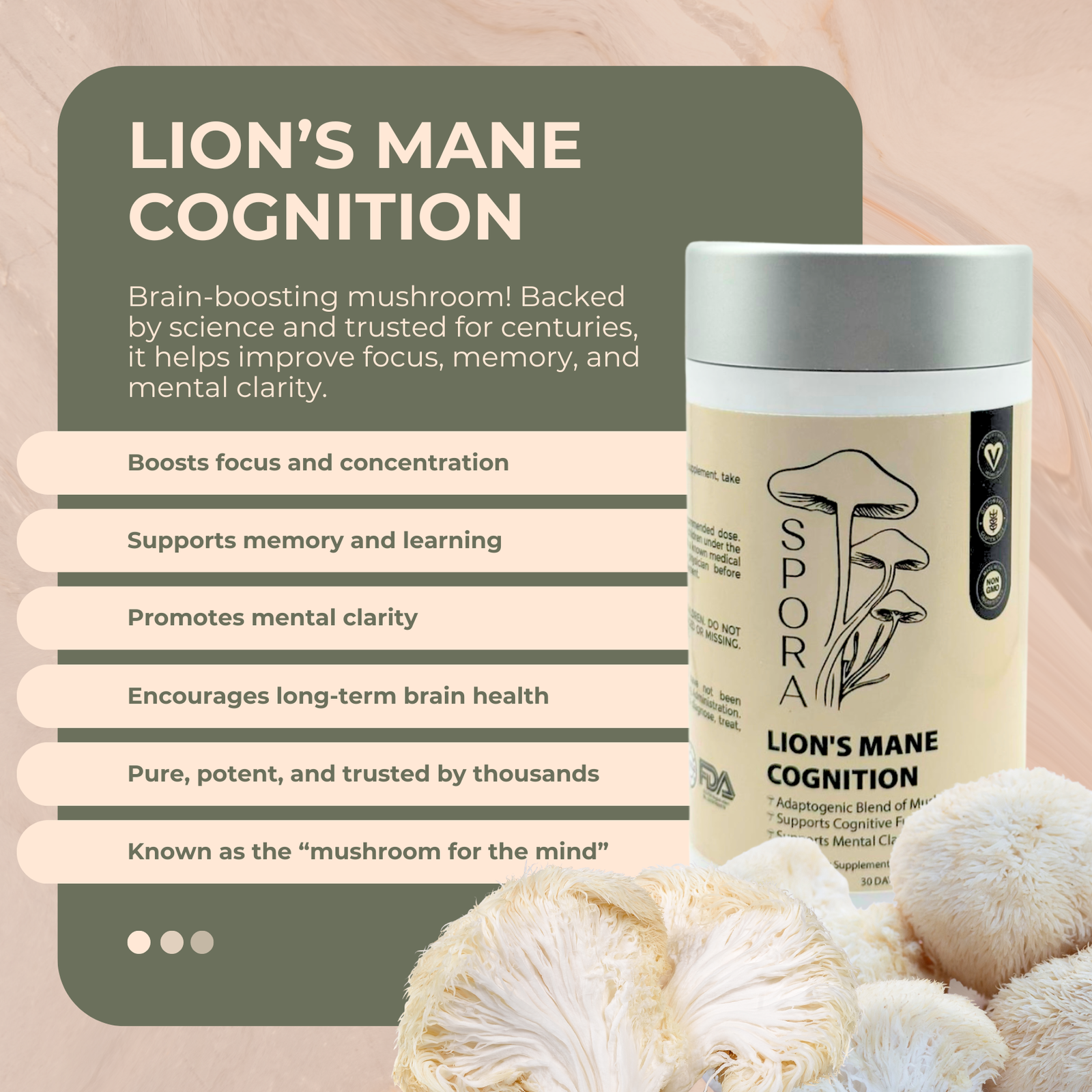 lion's mane cognition 100% organic supplement